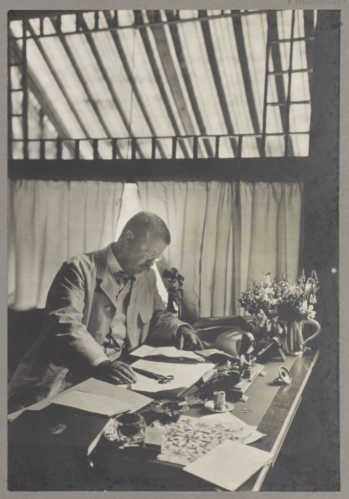 President Roosevelt sits at his desk at Sagamore Hill reviewing papers