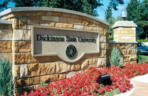 DSU Signage