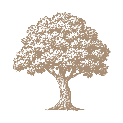 illustration of a tree