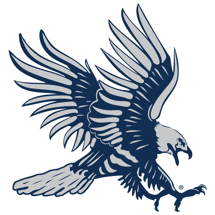 DSU Hawk logo